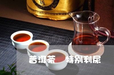 普洱茶 特别利尿/2023041087253